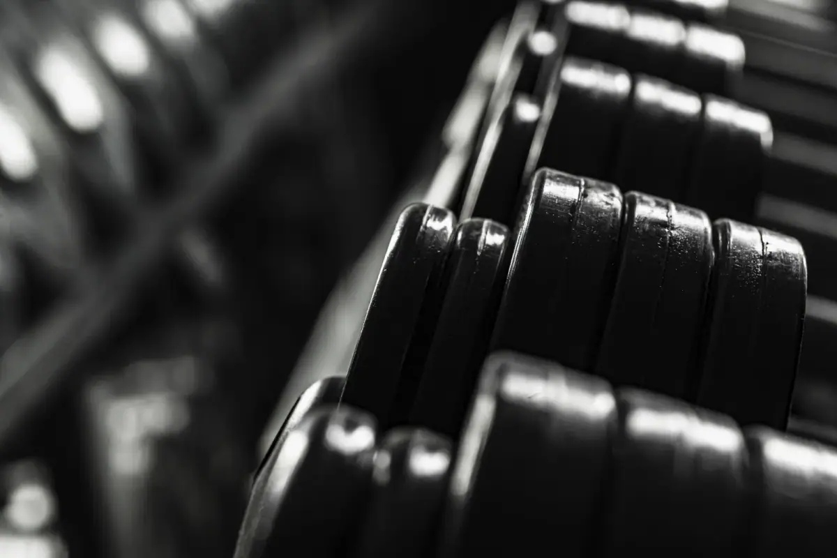 Dumbbells of different weights close up on a rack, a range to plan for when stocking a training room
